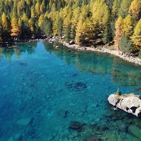 Idyllisches Und Alleinstehendes Maiensaess In Valposchiavo 度假居 波斯基亚沃