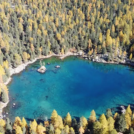 Idyllisches Und Alleinstehendes Maiensaess In Valposchiavo * 波斯基亚沃