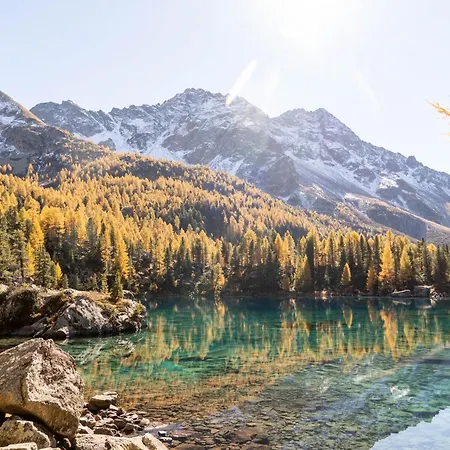 度假居 Idyllisches Und Alleinstehendes Maiensaess In Valposchiavo