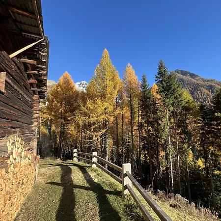 度假居 Idyllisches Und Alleinstehendes Maiensaess In Valposchiavo *