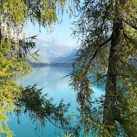 度假居 Idyllisches Und Alleinstehendes Maiensaess In Valposchiavo 波斯基亚沃