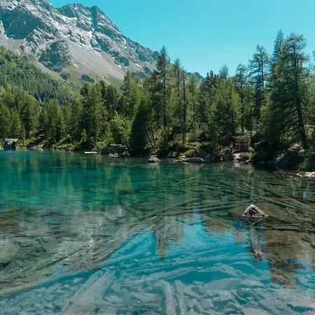 度假居 Idyllisches Und Alleinstehendes Maiensaess In Valposchiavo 波斯基亚沃