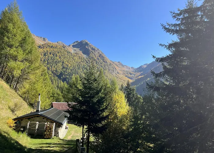Idyllisches Und Alleinstehendes Maiensaess In Valposchiavo Сasa de vacaciones
