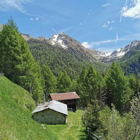 Holiday home Idyllisches Und Alleinstehendes Maiensaess In Valposchiavo